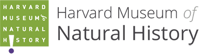 Harvard